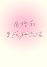 离婚前变成了一只猫(1V1)